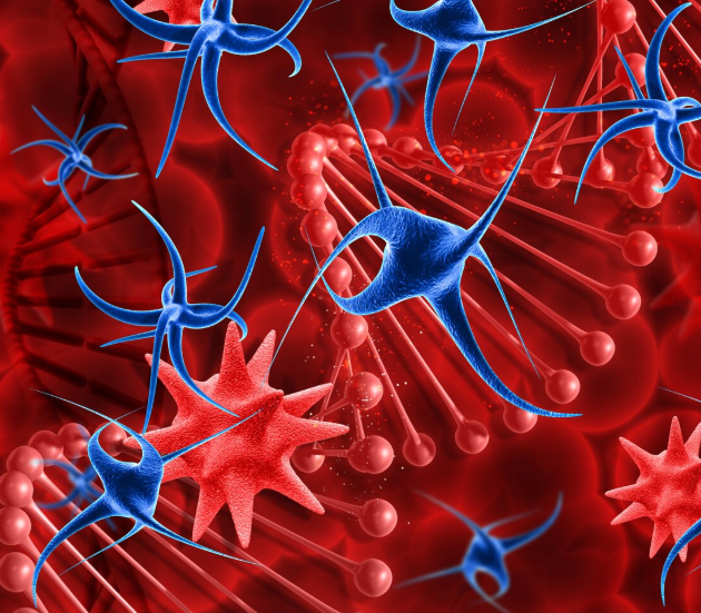 Как образуются бляшки