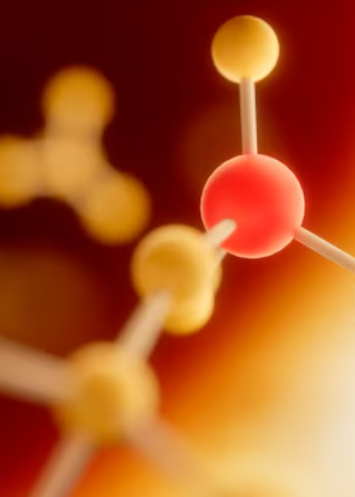 Снижение плохого холестерина в крови